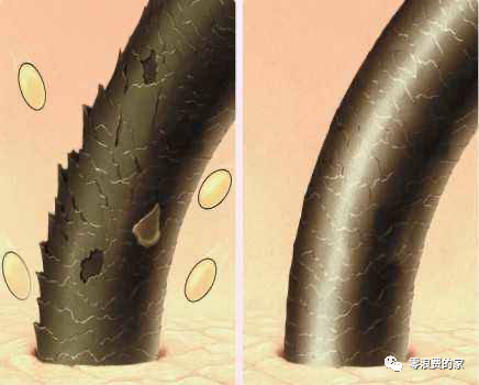 硒产品测评推荐好用吗(硒的品牌选择)-硒宝网