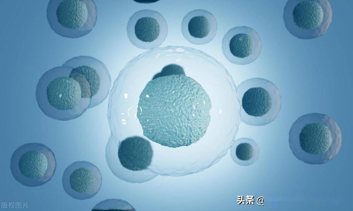 服用硒产品有什么作用(硒产品对身体有什么好处)-硒宝网