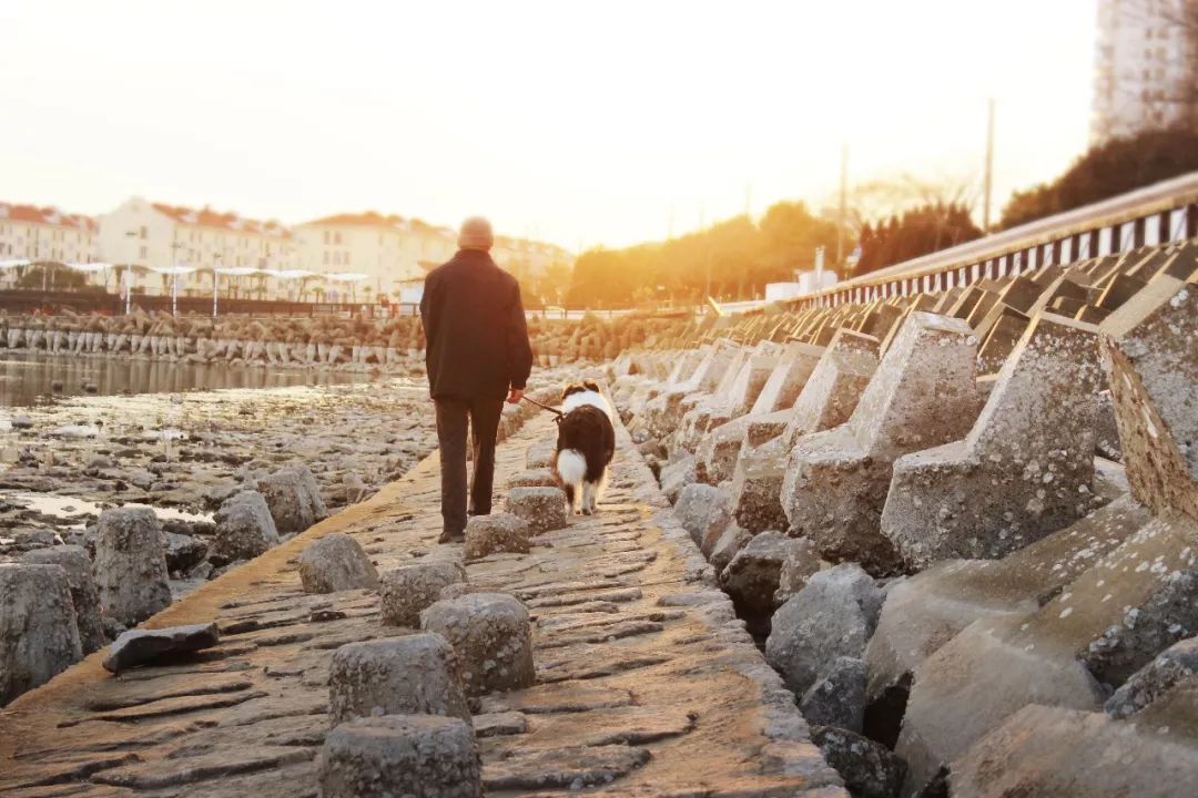 硒含量最高是哪种产品（含硒高的产品）-硒宝网