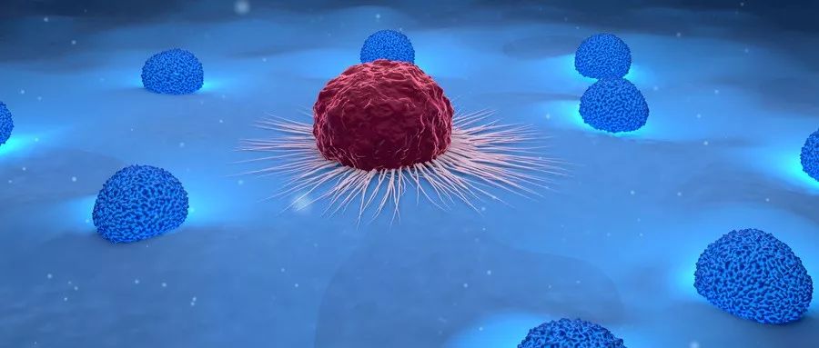 硒含量最高是哪种产品（硒含量高的食物是）-硒宝网