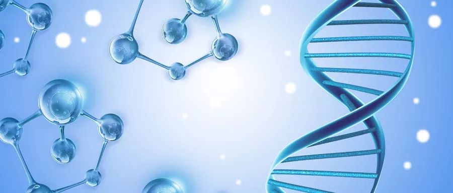 硒含量最高是哪种产品（硒含量高的食物是）-硒宝网