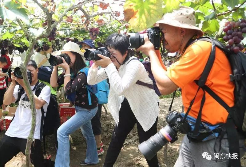 寿宁生态硒锌产品介绍(寿宁锌硒茶心怡香)-硒宝网