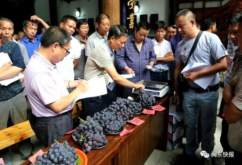 寿宁生态硒锌产品介绍(寿宁锌硒茶心怡香)-硒宝网