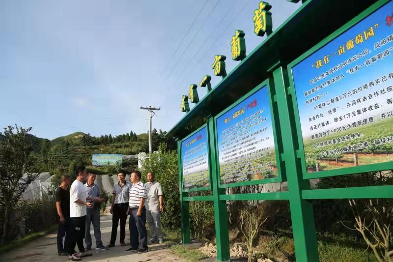 寿宁生态硒锌产品介绍(寿宁锌硒茶心怡香)-硒宝网