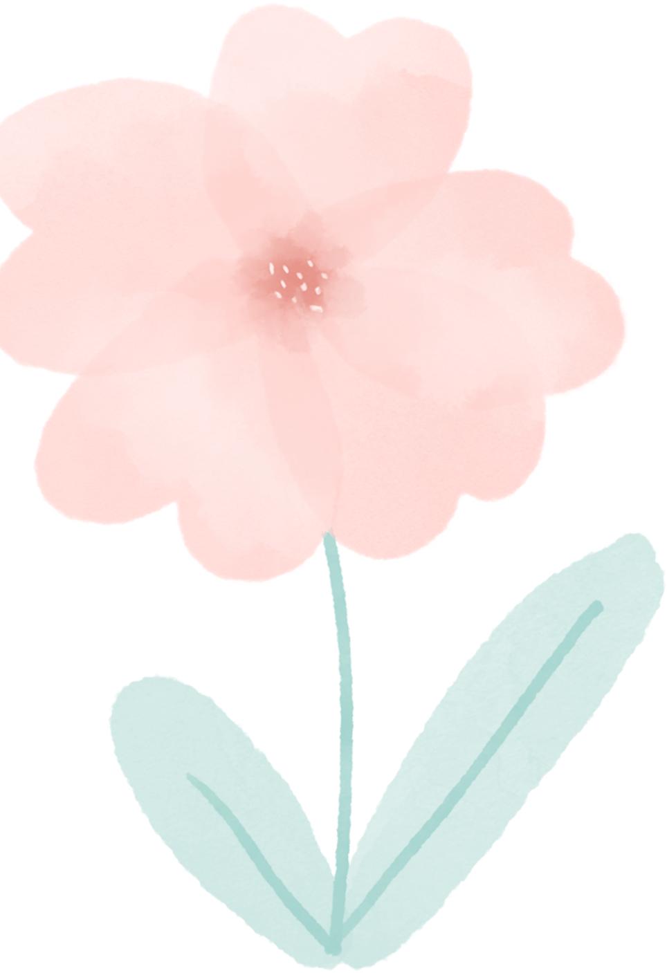 湖北恩施硒产品及旅游（湖北恩施旅游产品硒含量多少）-硒宝网