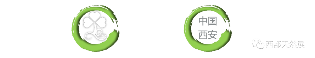 生产硒元素的产品设备（元素设备生产产品硒含量）-硒宝网