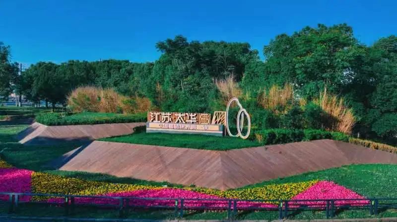 如何促进硒产品的发展（什么促进硒的吸收）-硒宝网