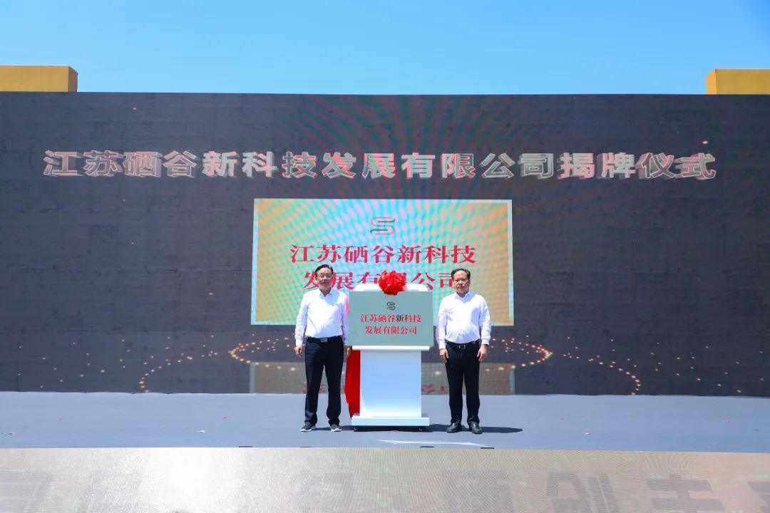 如何促进硒产品的发展（什么促进硒的吸收）-硒宝网