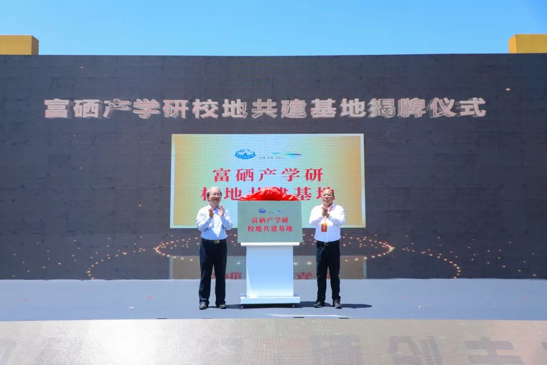 如何促进硒产品的发展（什么促进硒的吸收）-硒宝网