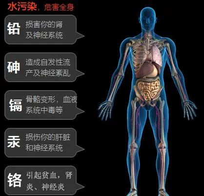 桥本甲状腺吃含硒产品(桥本甲状腺炎吃硒)-硒宝网