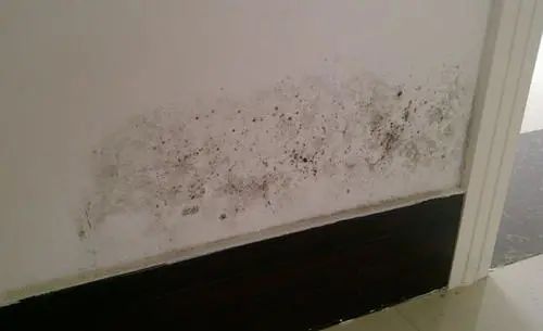 桥本甲状腺吃含硒产品(桥本甲状腺炎吃硒)-硒宝网