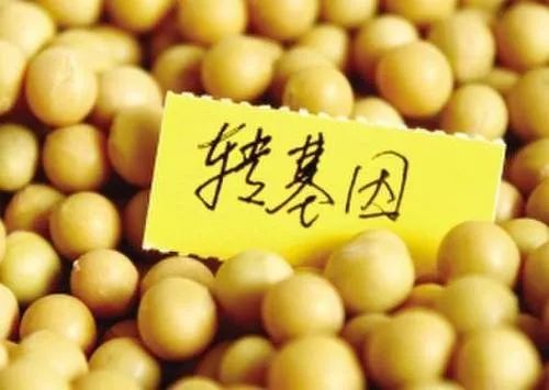 桥本甲状腺吃含硒产品(桥本甲状腺炎吃硒)-硒宝网