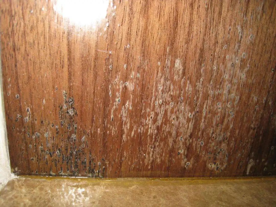 桥本甲状腺吃含硒产品(桥本甲状腺炎吃硒)-硒宝网