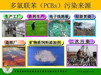 桥本甲状腺吃含硒产品(桥本甲状腺炎吃硒)-硒宝网