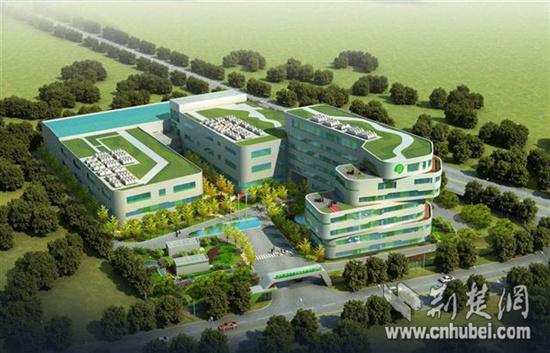 湖北恩施的硒产品公司（湖北恩施硒产品哪个好）-硒宝网