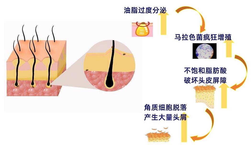 怎样购买二硫化硒产品(硫化硒有毒吗)-硒宝网