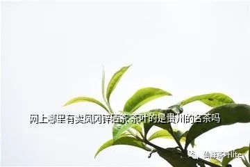 什么产品富含锌硒元素(富含锌元素产品硒含量多少)-硒宝网