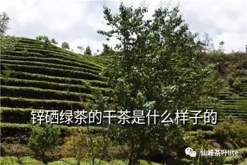 什么产品富含锌硒元素(富含锌元素产品硒含量多少)-硒宝网