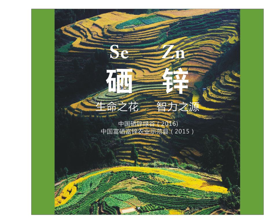 什么产品富含锌硒元素（富含锌元素产品硒含量）-硒宝网