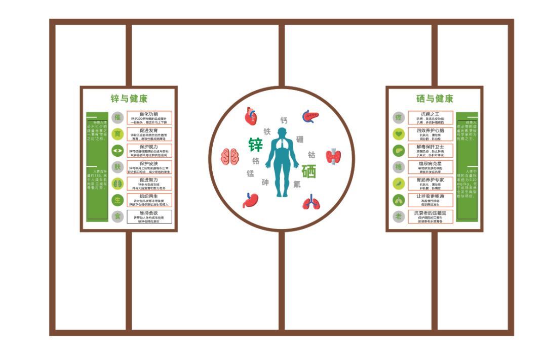 什么产品富含锌硒元素（富含锌元素产品硒含量）-硒宝网