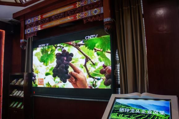 什么产品富含锌硒元素（富含锌元素产品硒含量）-硒宝网