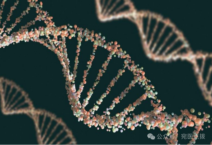 硒含量低产品多吃可以（硒含量低对身体的影响）-硒宝网