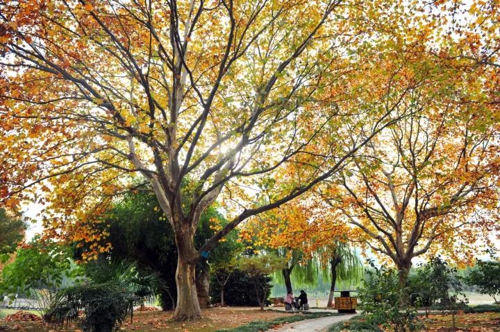 湖北富含硒元素的产品（湖北硒分布图）-硒宝网