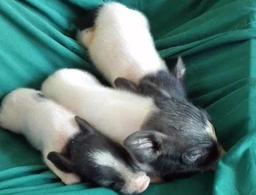 湖北富含硒元素的产品（湖北硒分布图）-硒宝网