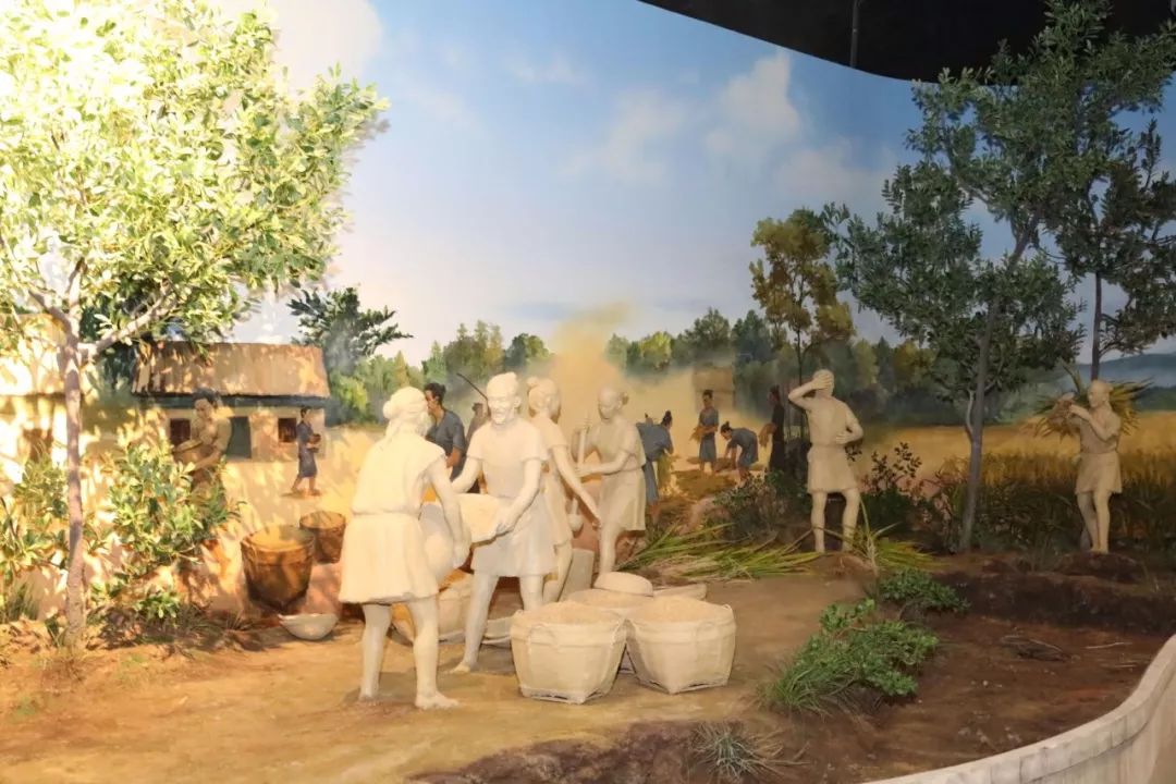 湖北富含硒元素的产品(富含湖北元素产品硒的有哪些)-硒宝网