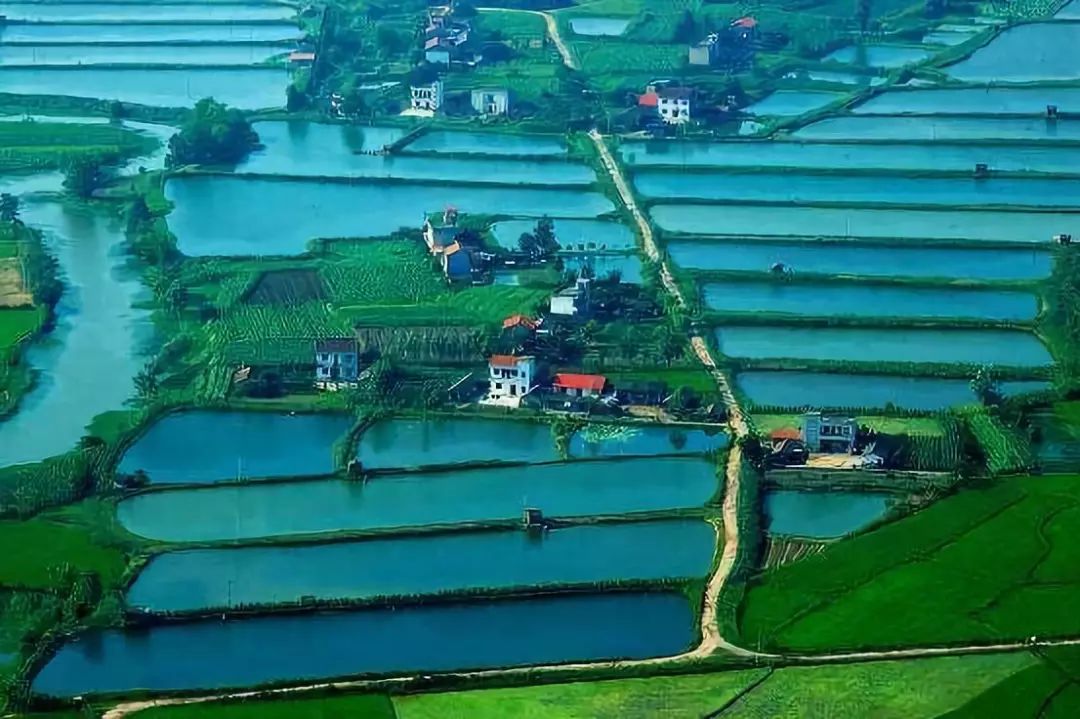 湖北富含硒元素的产品(富含湖北元素产品硒的有哪些)-硒宝网