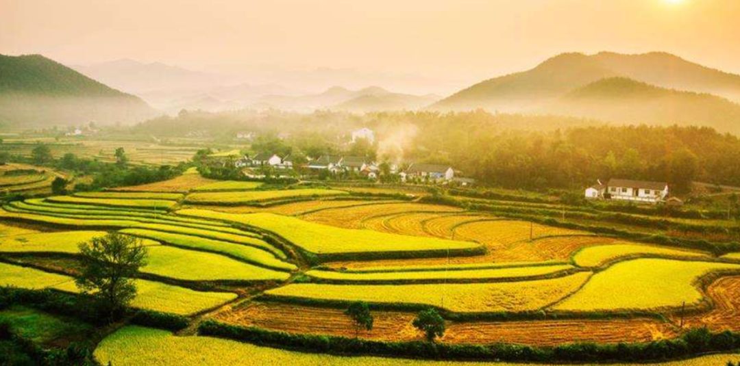 湖北富含硒元素的产品(富含湖北元素产品硒的有哪些)-硒宝网