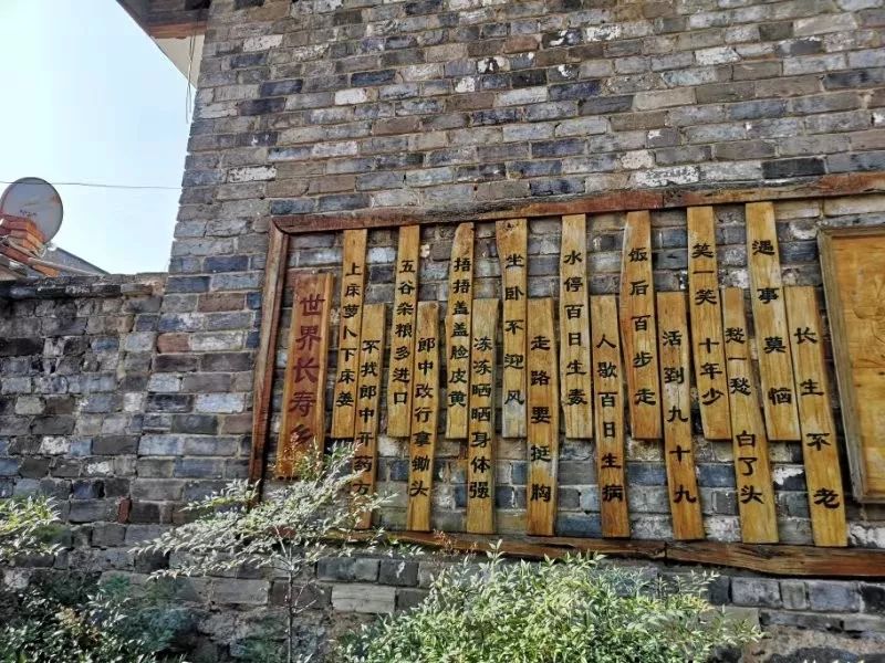 湖北富含硒元素的产品(富含湖北元素产品硒的有哪些)-硒宝网