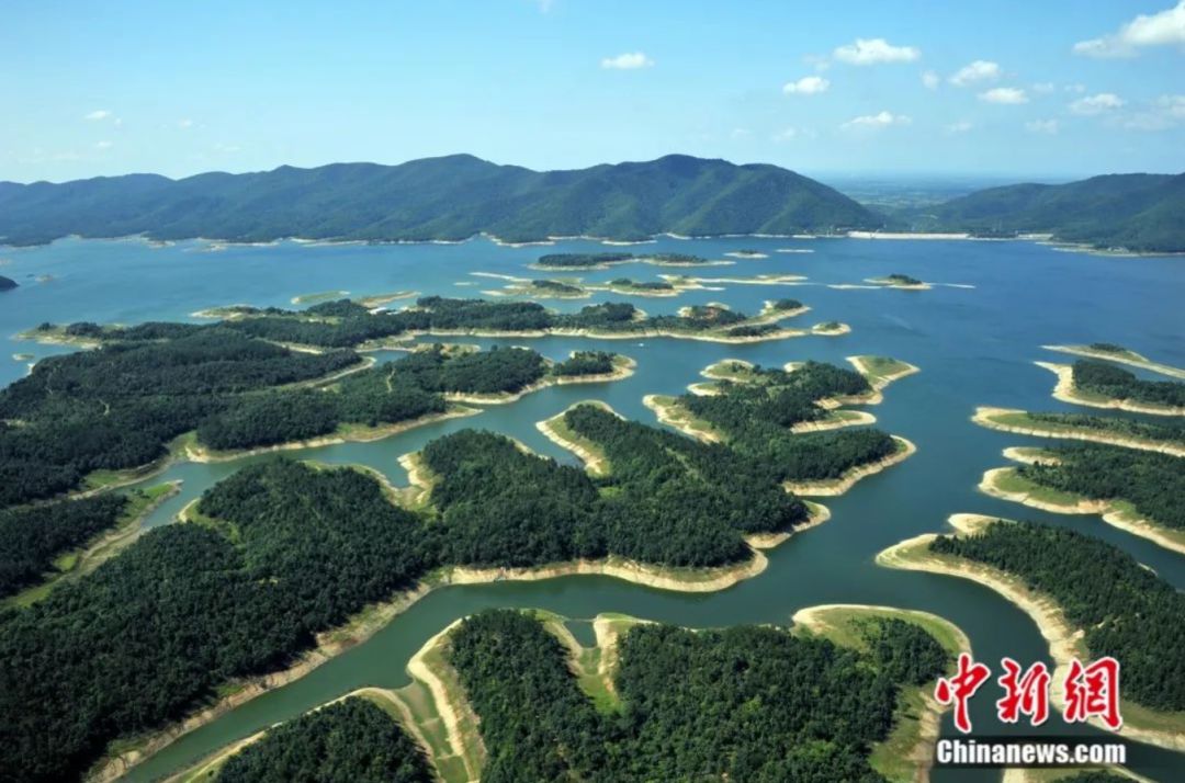 湖北富含硒元素的产品(富含湖北元素产品硒的有哪些)-硒宝网