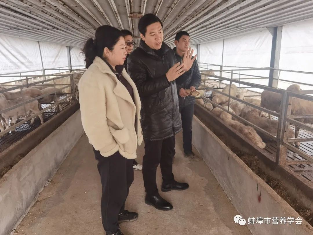 有机硒产品有哪些品牌（有机品牌产品硒含量）-硒宝网