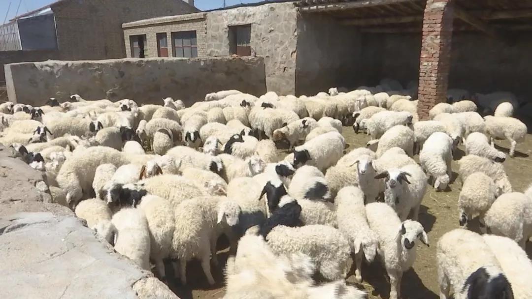 中国富硒产品产值报告(2019中国的富硒产业发展)-硒宝网