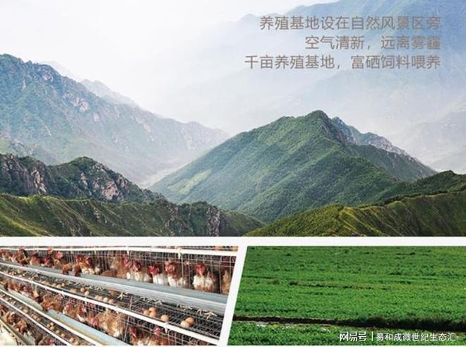 硒谷公社都有哪些产品（硒谷公社图片）-硒宝网