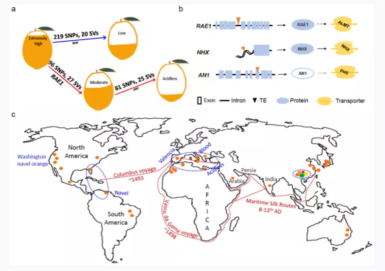中国硒源健康产品示范（硒源食品有限公司）-硒宝网