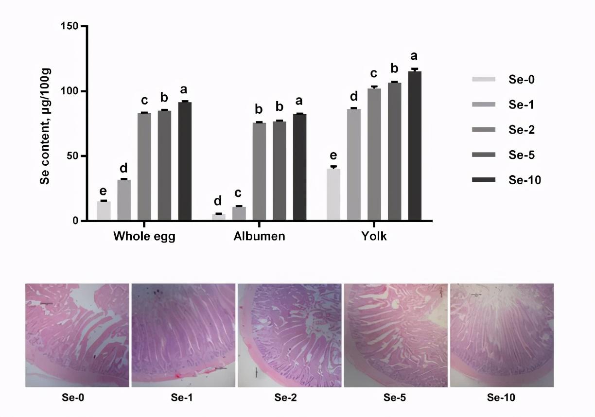 中国硒源健康产品示范（硒源食品有限公司）-硒宝网