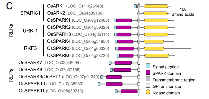 中国硒源健康产品示范（硒源食品有限公司）-硒宝网