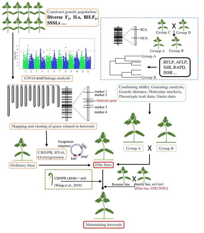 中国硒源健康产品示范（硒源食品有限公司）-硒宝网