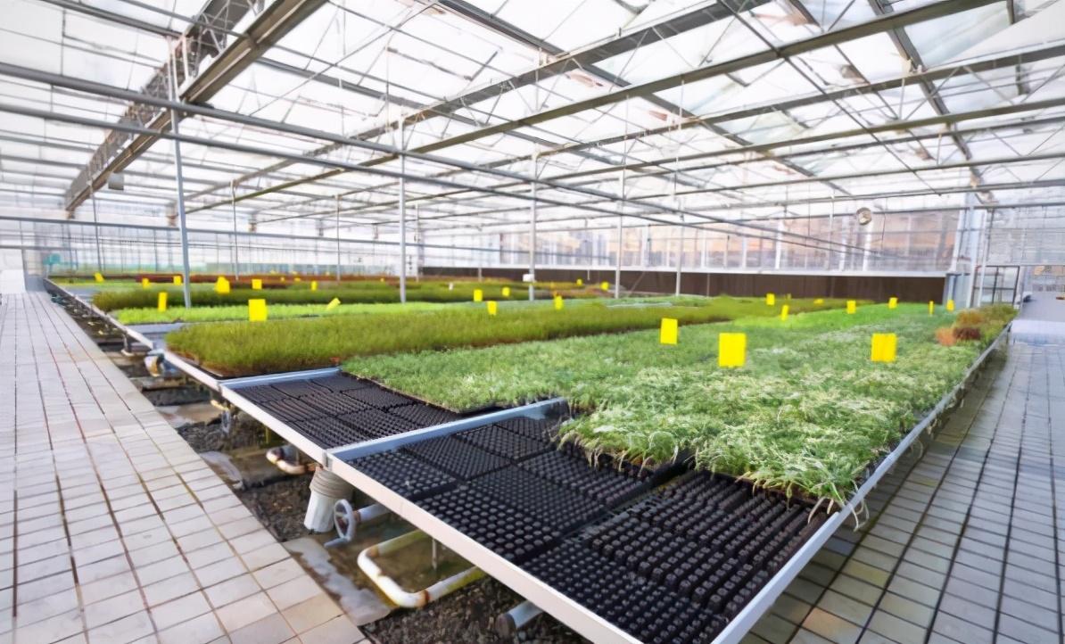 中国硒源健康产品示范（硒源食品有限公司）-硒宝网