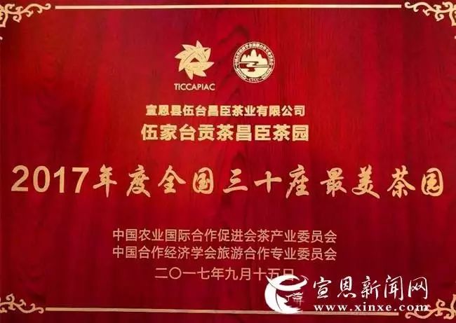 地理标志产品恩施硒茶（恩施硒茶品牌价值）-硒宝网