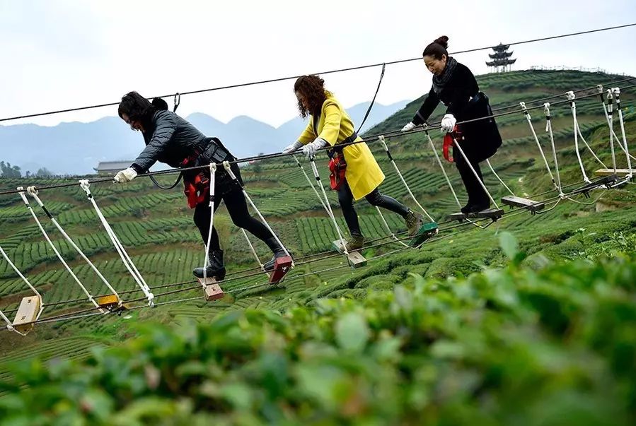 地理标志产品恩施硒茶（恩施硒茶品牌价值）-硒宝网