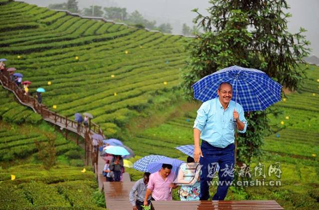 地理标志产品恩施硒茶（恩施硒茶品牌价值）-硒宝网