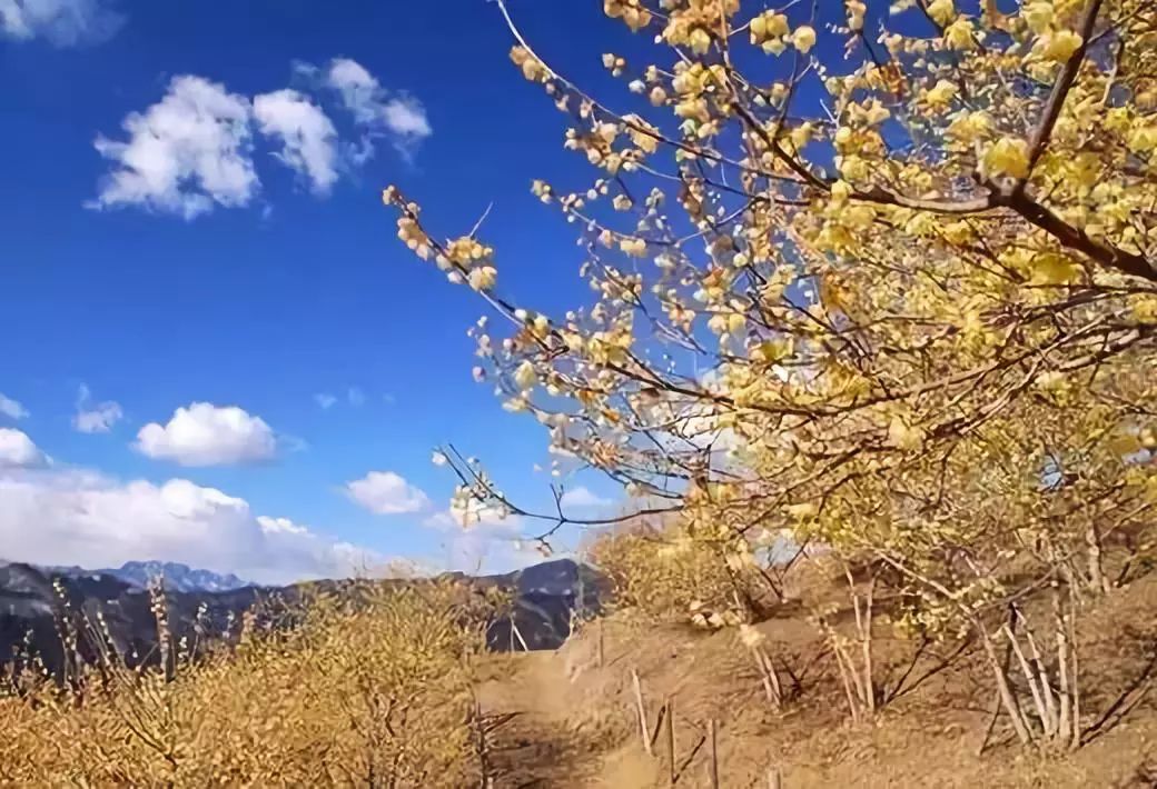 湖北利川含硒高的产品(利川含硒调查)-硒宝网