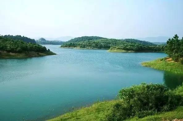 湖北利川含硒高的产品(利川含硒调查)-硒宝网