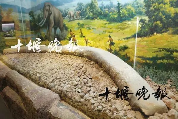 湖北利川含硒高的产品(利川含硒调查)-硒宝网