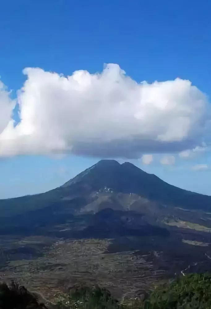 湖北利川含硒高的产品(利川含硒调查)-硒宝网