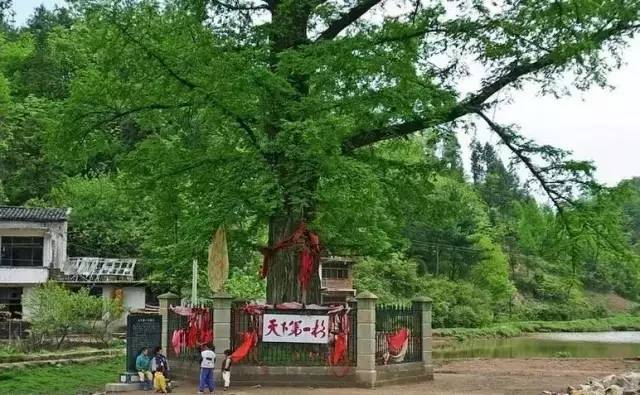 湖北利川含硒高的产品(利川含硒调查)-硒宝网