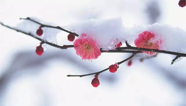 湖北利川含硒高的产品(利川含硒调查)-硒宝网